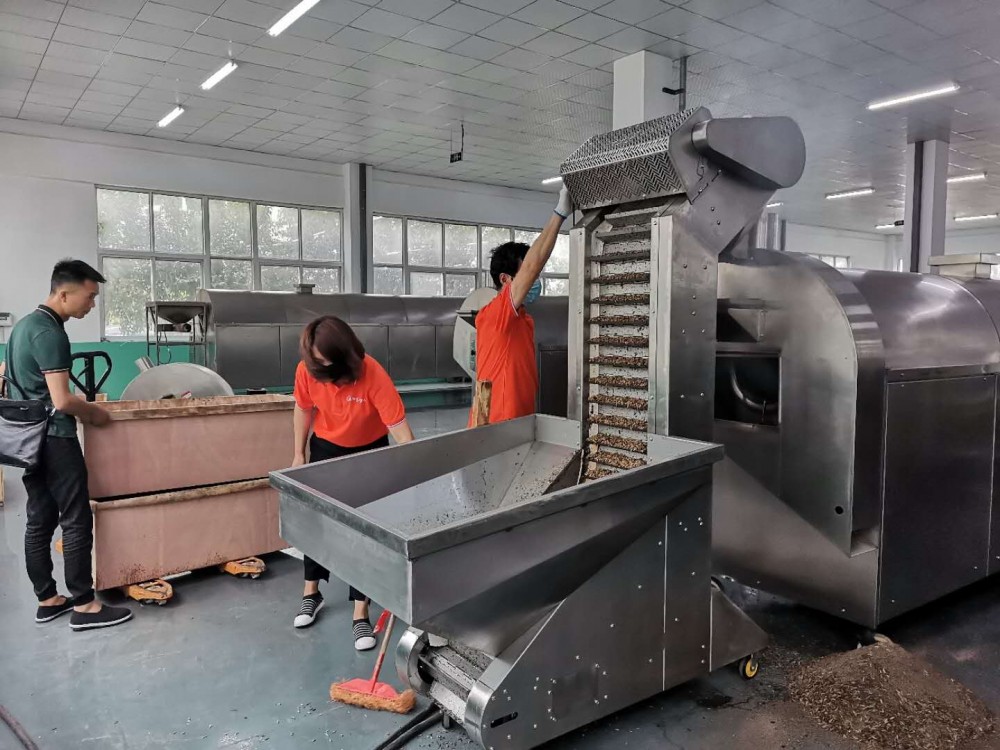 廣西客戶(hù)自帶原料“黑水虻”來(lái)廠(chǎng)考察試機(jī)6米電磁流水線(xiàn)炒貨機(jī)炒制！